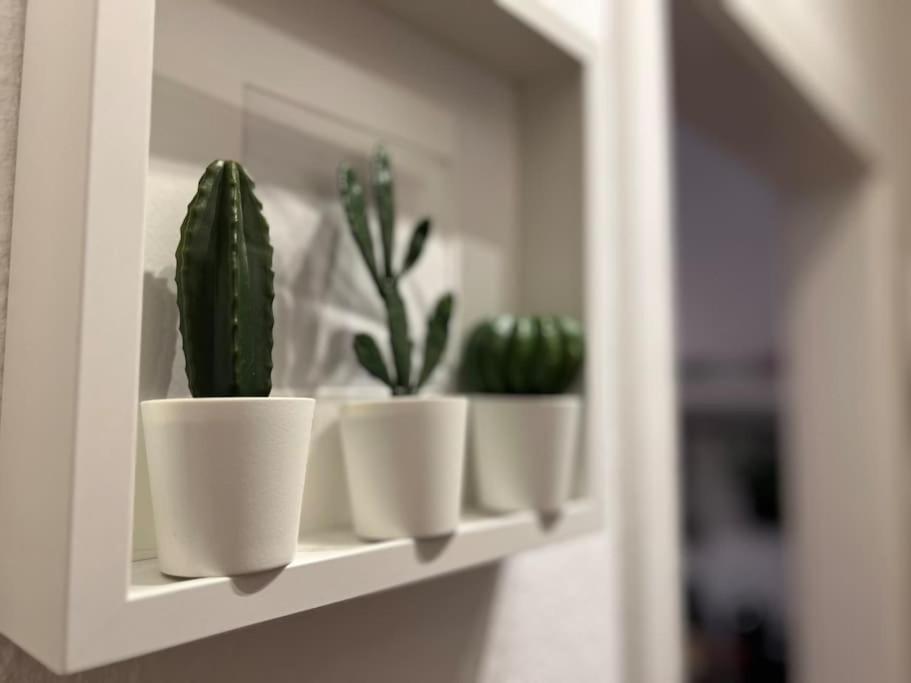 Stadtoase Design Wohnung In Der Altstadt Von Koblenz Кобленц Экстерьер фото